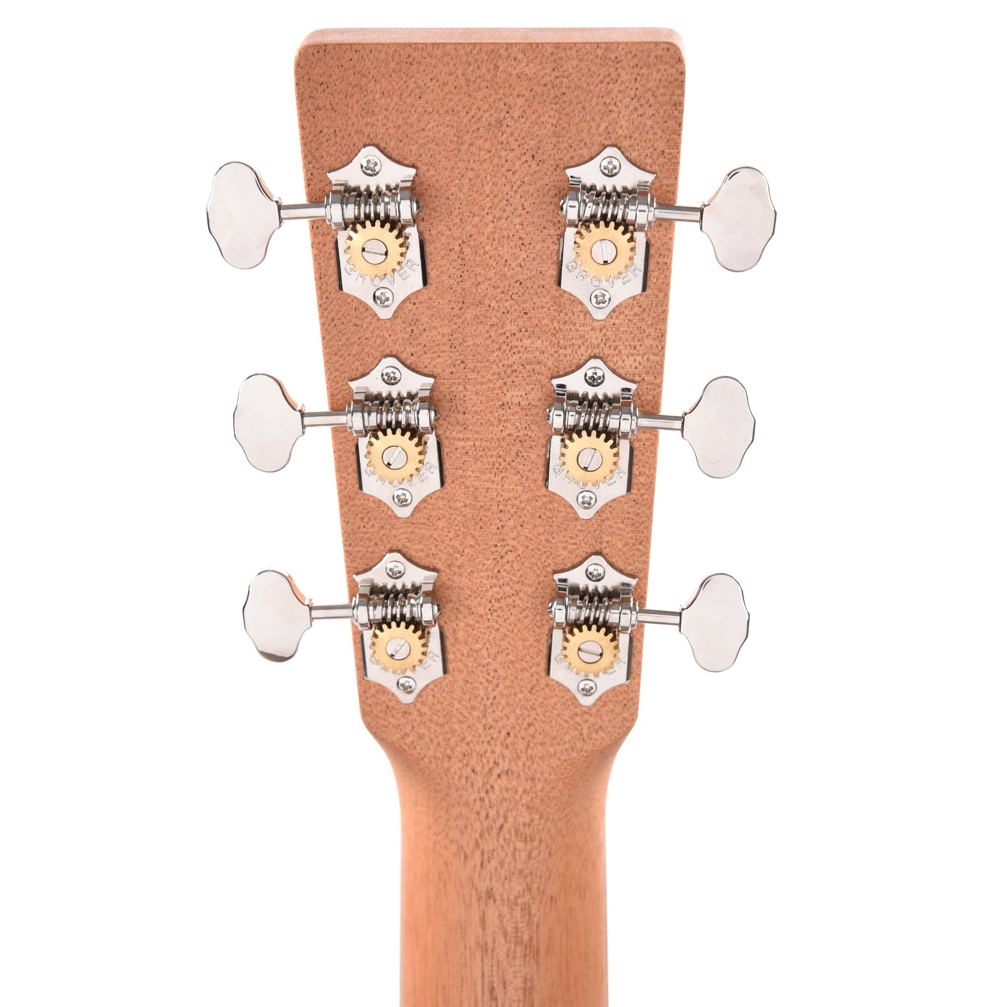 Martin OM Biosphere Custom Ink Acoustic Guitars / OM and Auditorium