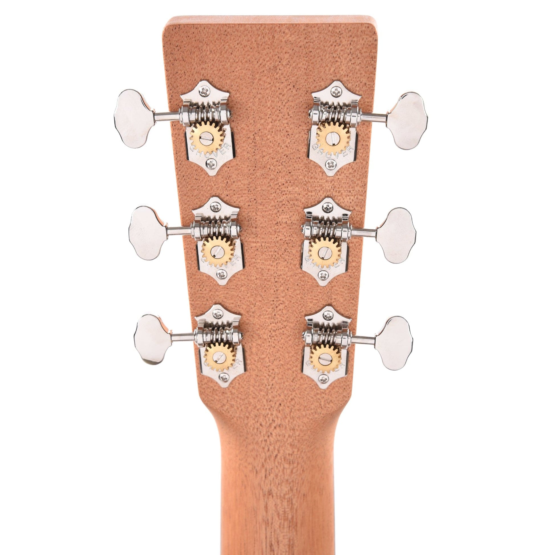 Martin OM Biosphere Custom Ink Acoustic Guitars / OM and Auditorium