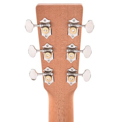 Martin OM Biosphere Custom Ink Acoustic Guitars / OM and Auditorium