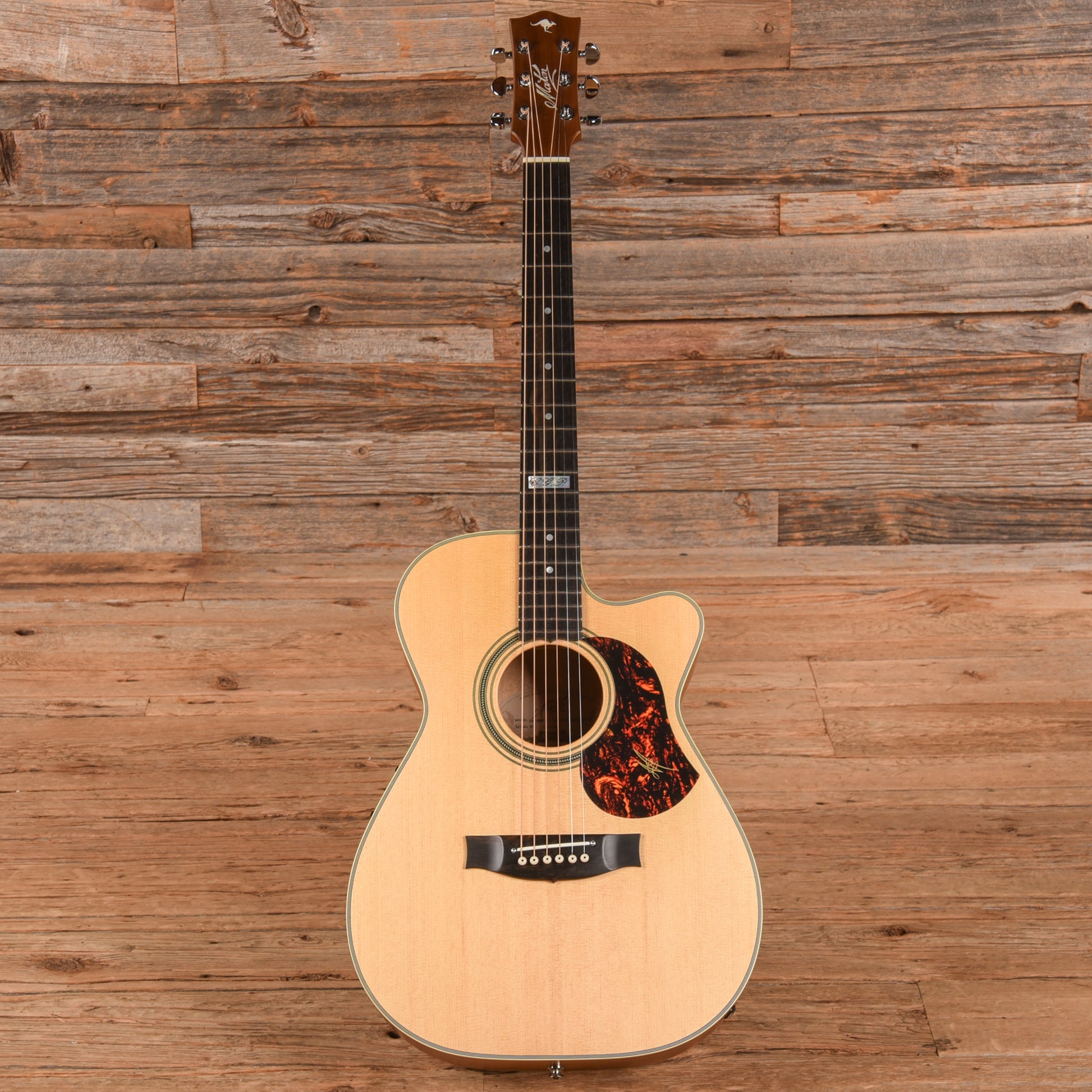 Maton EBG808-TE Tommy Emmanuel Signature Natural Acoustic Guitars / OM and Auditorium