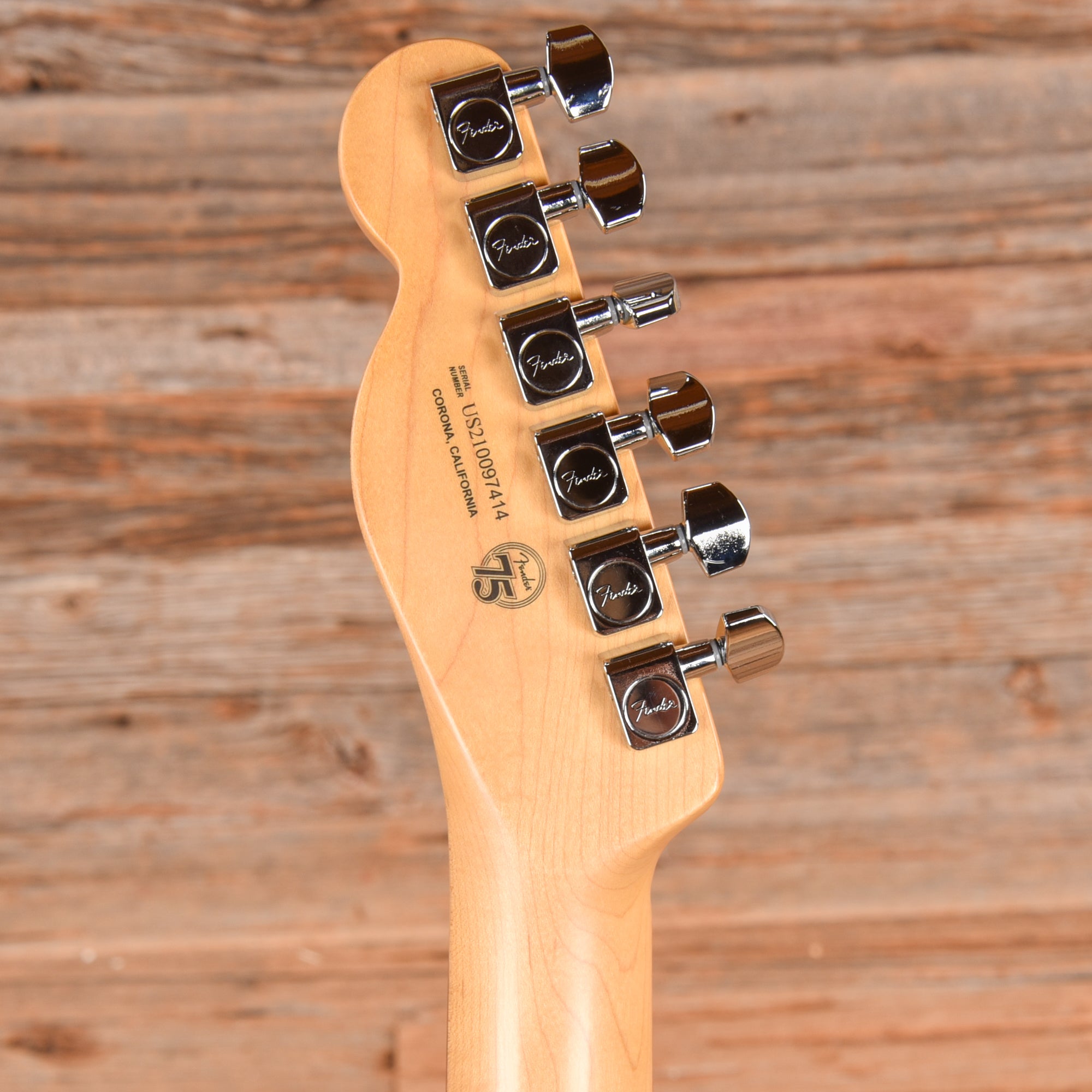 Fender American Professional II Telecaster Dark Night 2021