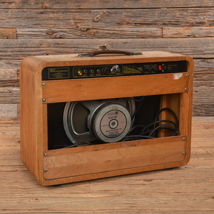 Legend Rock'nRoll 50 50-Watt 1x12" Guitar Combo