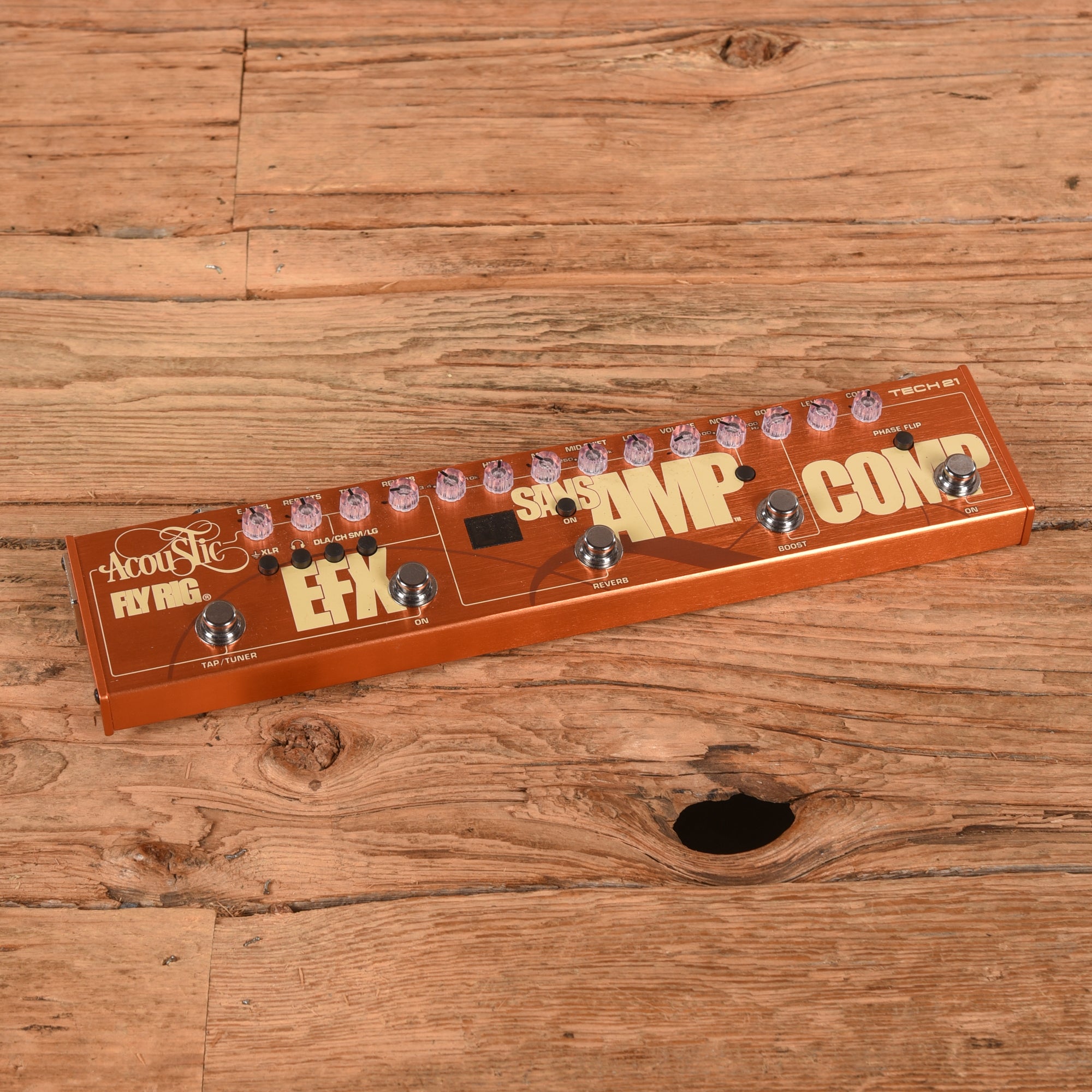 Tech 21 Acoustic Fly Rig