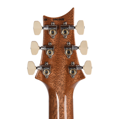 PRS Custom 24 Aurora Borealis