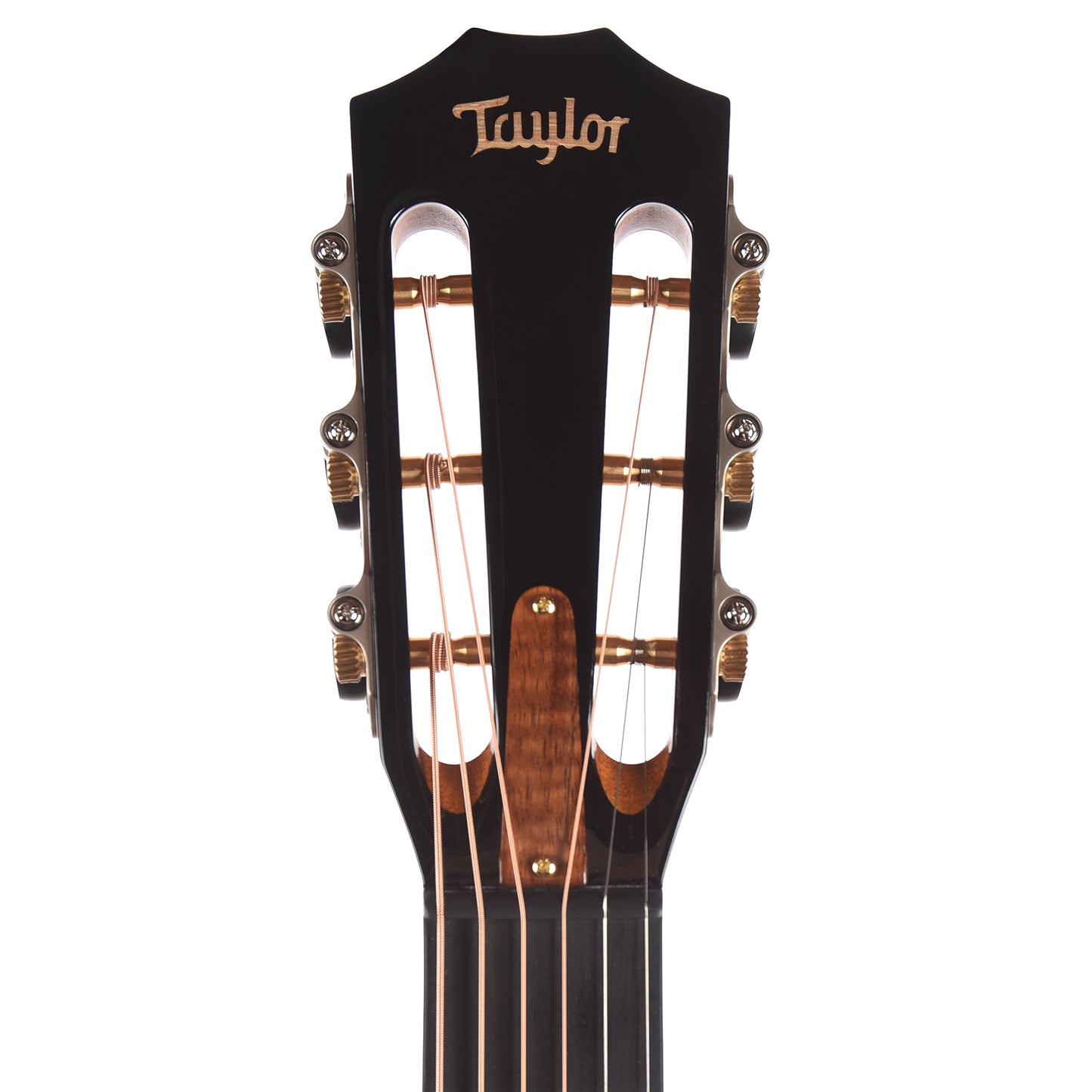 Taylor Custom Grand Concert 12-Fret Tasmanian Blackwood Antique Blonde w/Engraved Twist & Ocean Vine Inlays