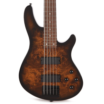 Schecter C-5 Standard Bass Guitar Tobacco Burl