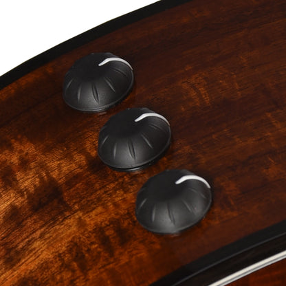 Taylor Custom Grand Concert 12-Fret Tasmanian Blackwood Antique Blonde w/Engraved Twist & Ocean Vine Inlays