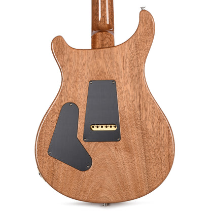 PRS Custom 24 Aurora Borealis