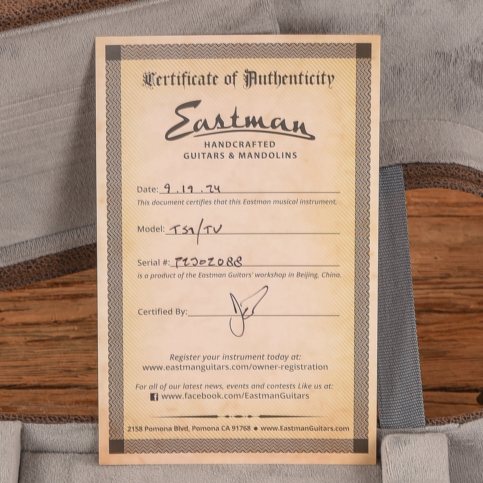 Eastman T59/TV Vintage Amber 2023