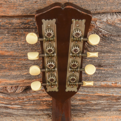 Vega Cylinderback Mandolin Natural 1913