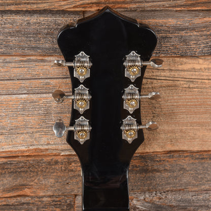 Recording King RG-35-SN Lapsteel Sunburst