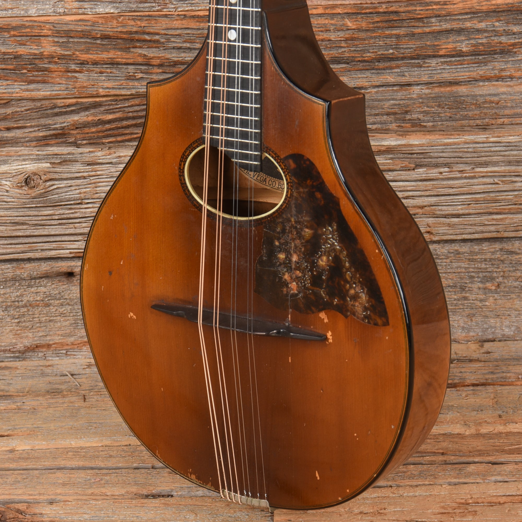 Vega Cylinderback Mandolin Natural 1913
