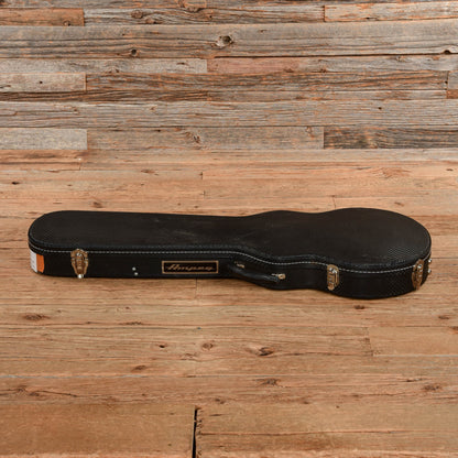 Ampeg AMG100 Dan Armstrong Cherry 2008