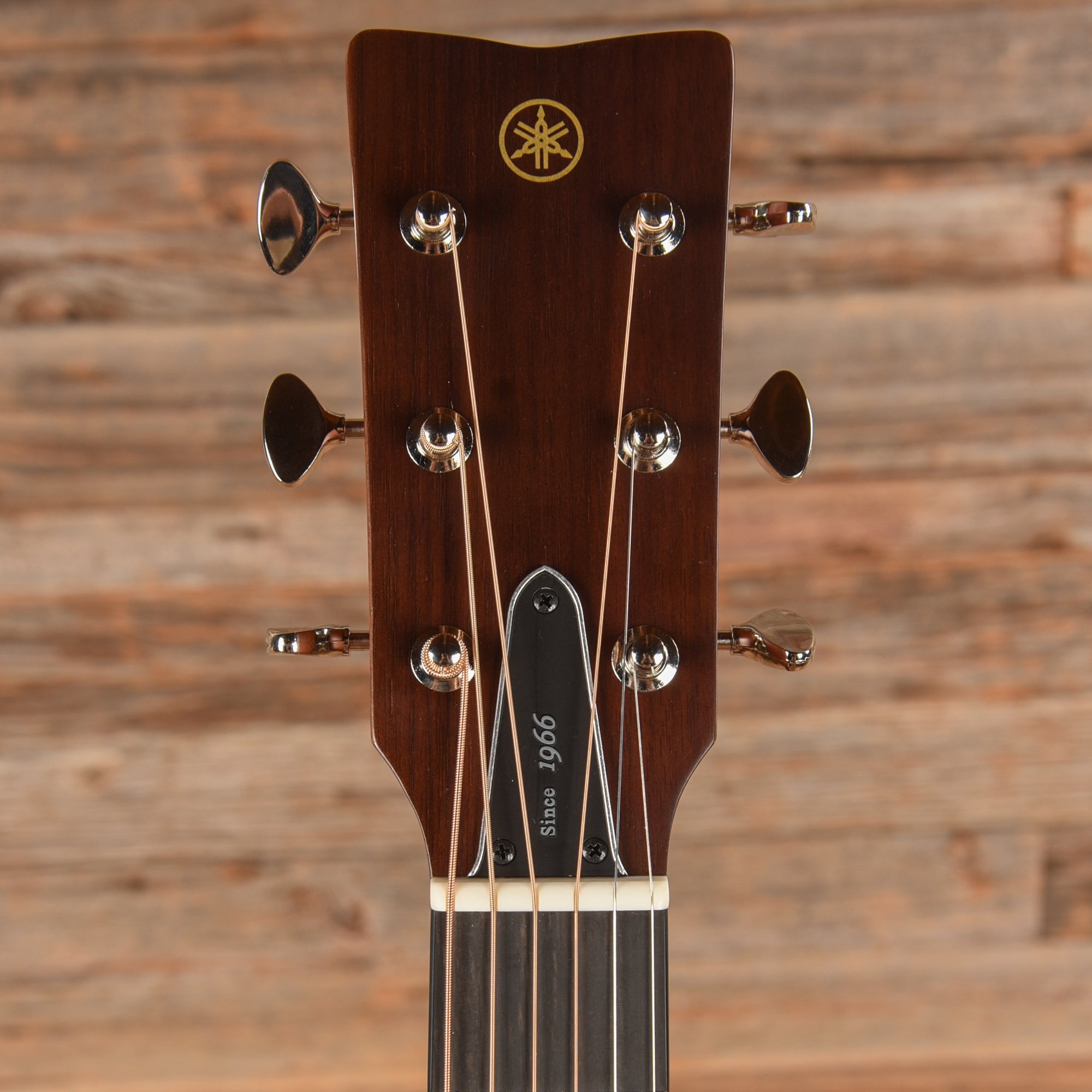 Yamaha Red Label FS5 GL Acoustic Guitar Gloss