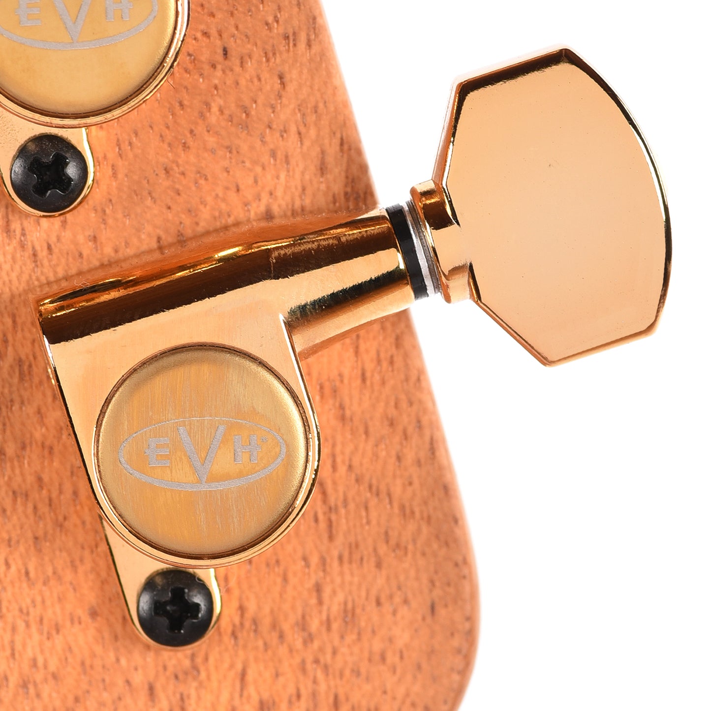 EVH Custom Shop Wolfgang 2H FR Platinum Pink