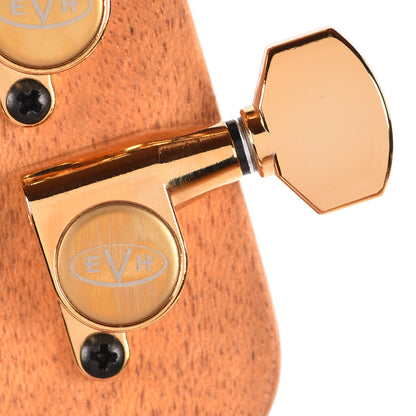 EVH Custom Shop Wolfgang 2H FR Platinum Pink