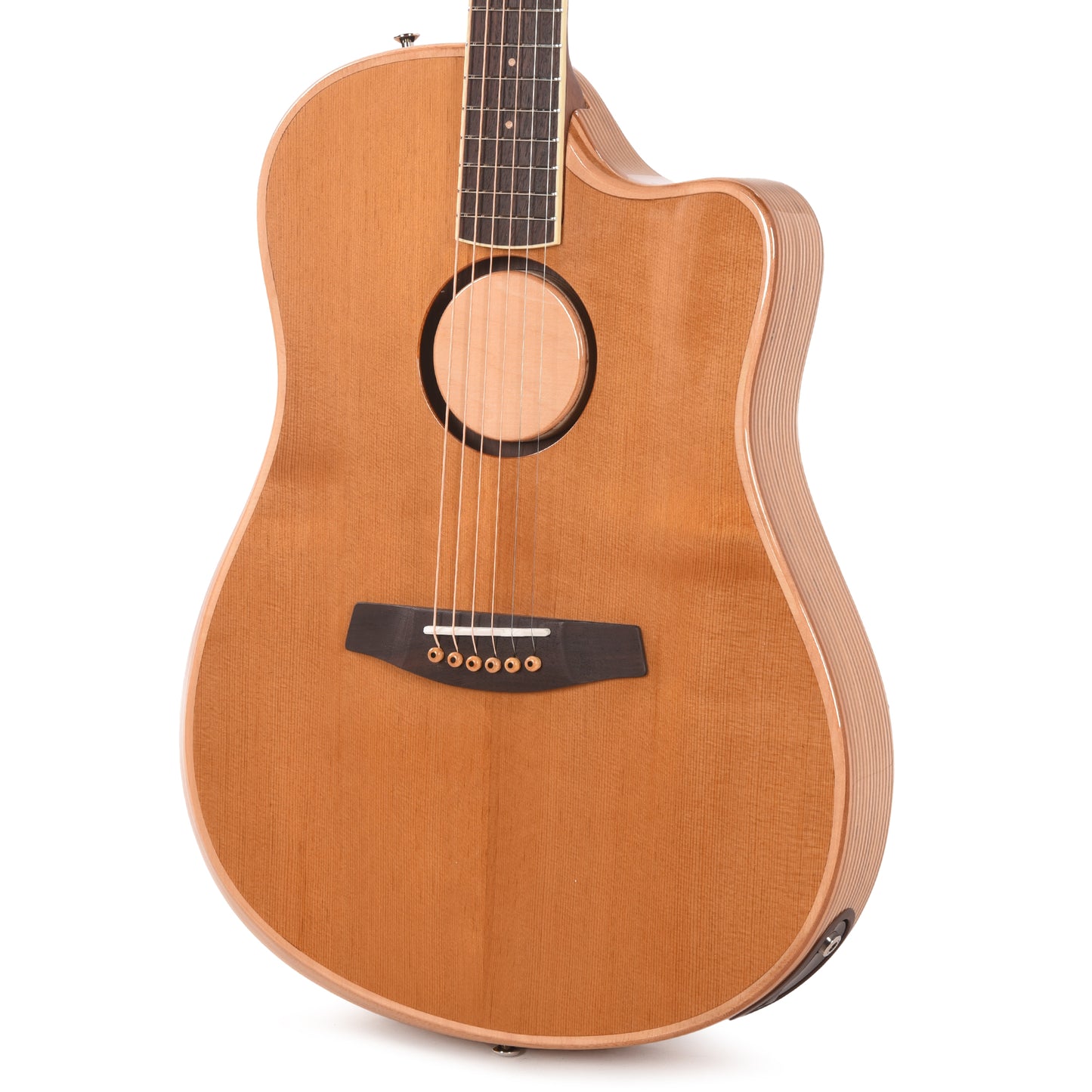 LR Baggs AEG-1 Acoustic Electric Guitar Torrefied Sitka Spruce Natural