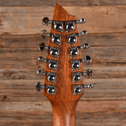 Breedlove AC250/SM-12 Natural