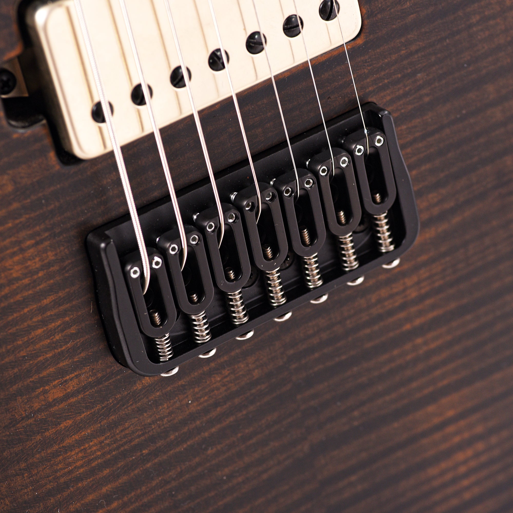 Mayones Regius 7 Baritone Flamed Maple/Swamp Ash Antique Black