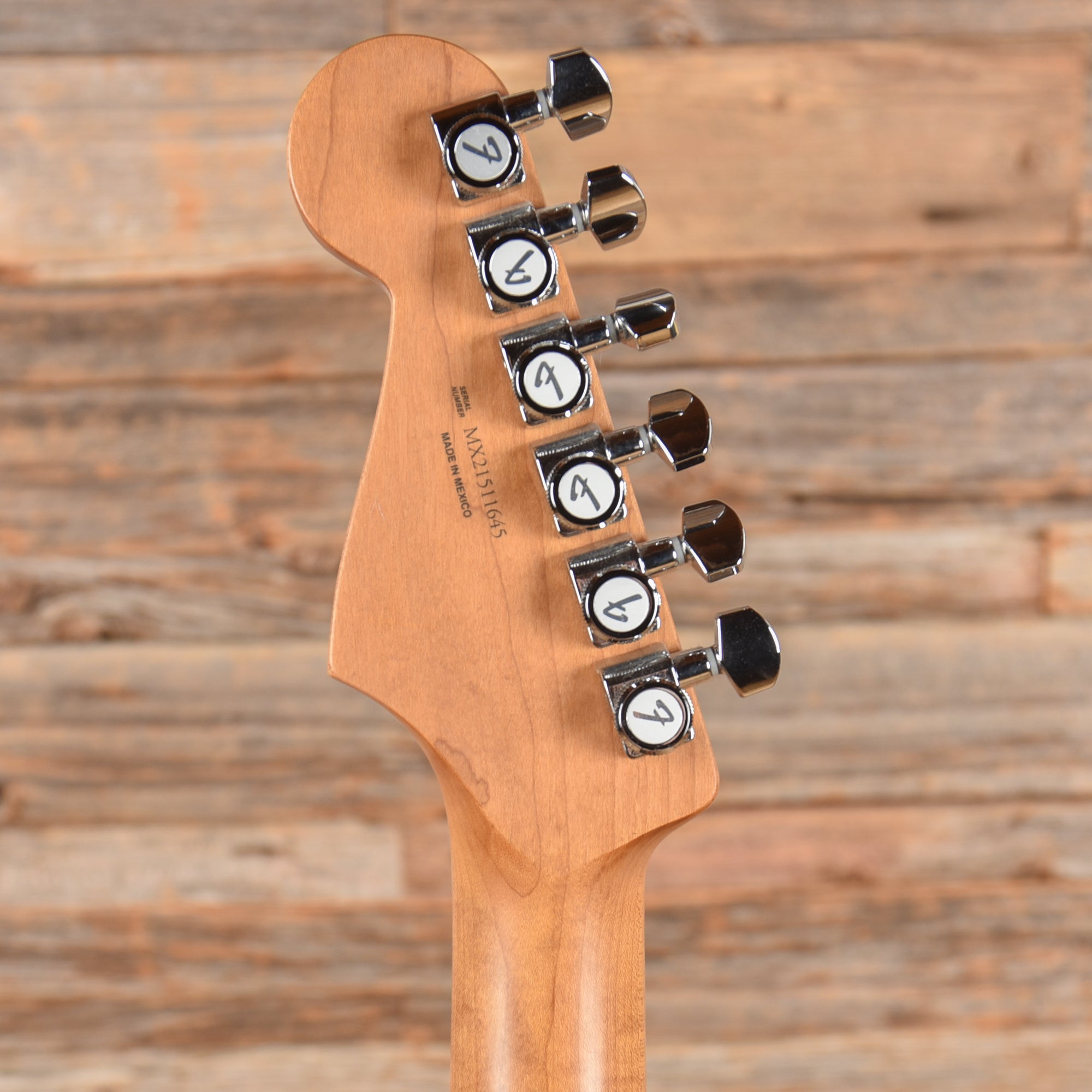 Fender Player Plus Stratocaster w/Roasted Maple Neck Blue Burst 2021