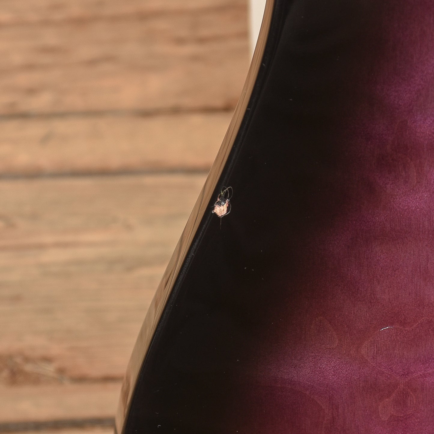 LTD MH-100 QMNT Reindeer Blue 2014