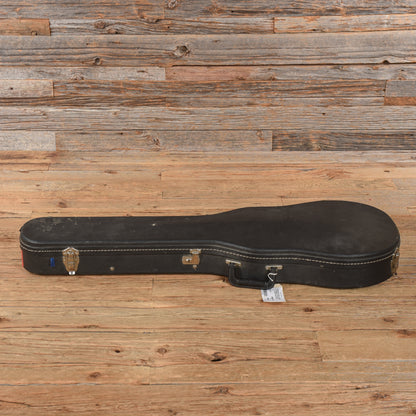 Hagstrom Patch w/ Ampeg Footswitch Natural 1970s