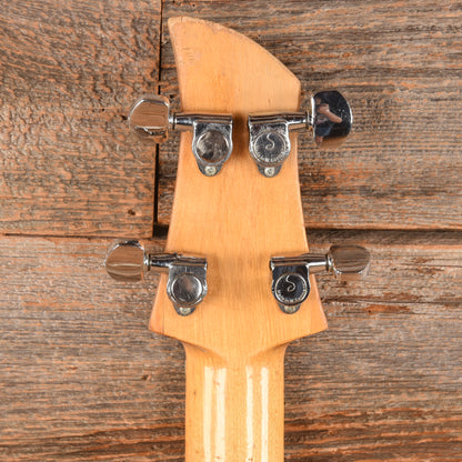 Ampeg Dan Armstrong Bass Lucite 1969