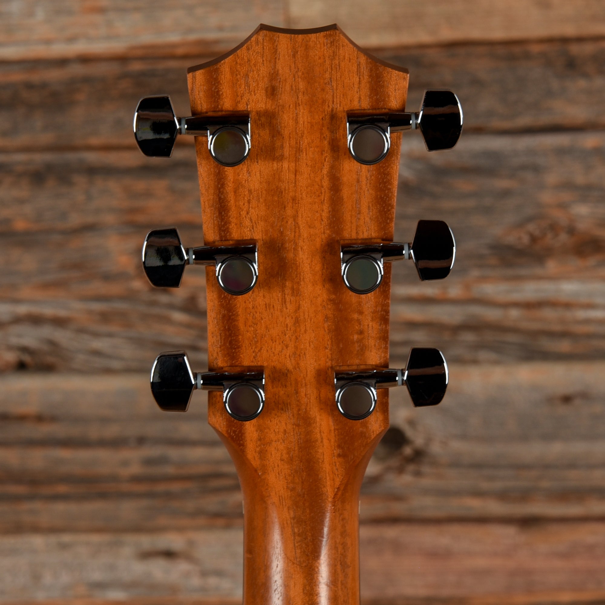 Taylor Academy 12 Natural 2018