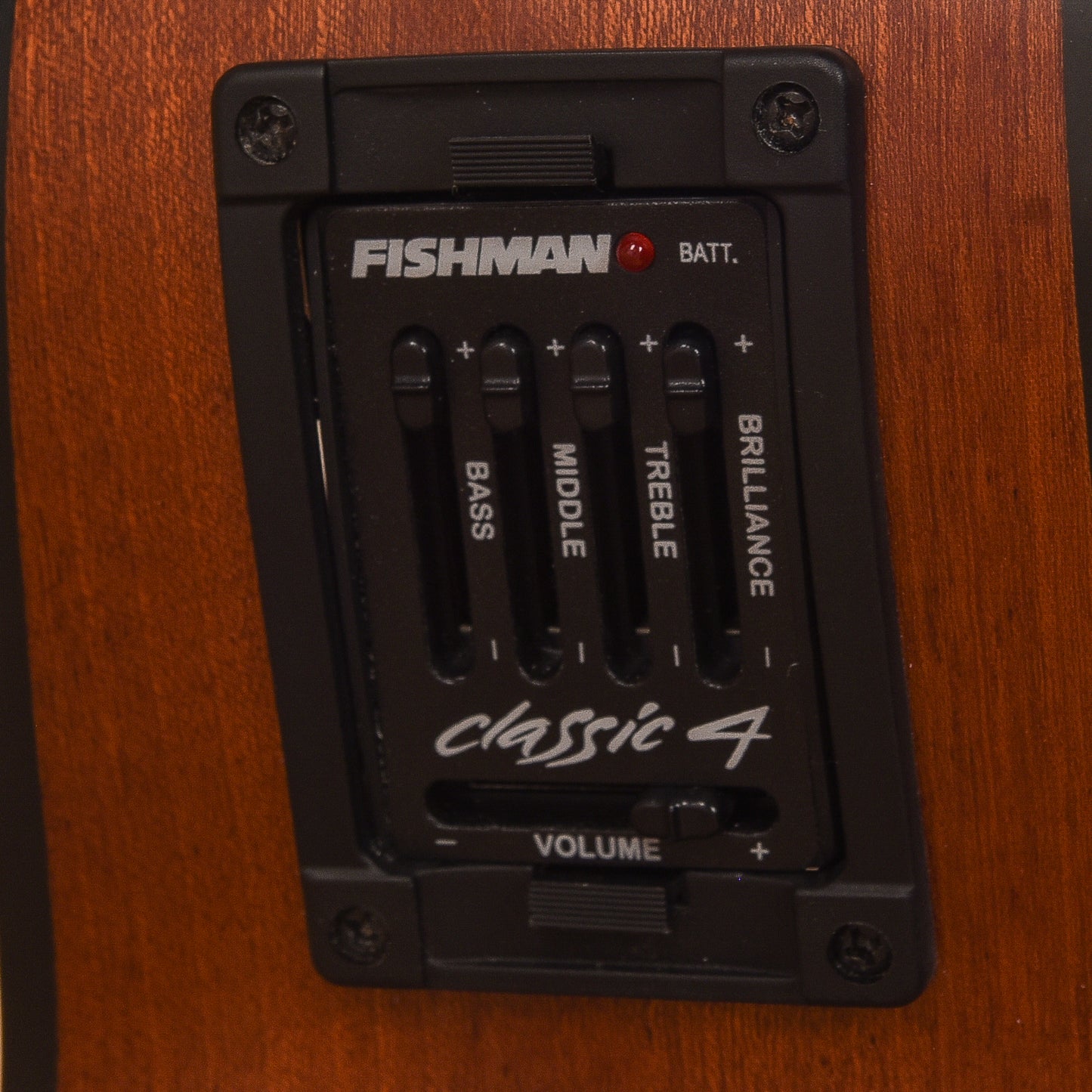 Breedlove AC250/SM-12 Natural