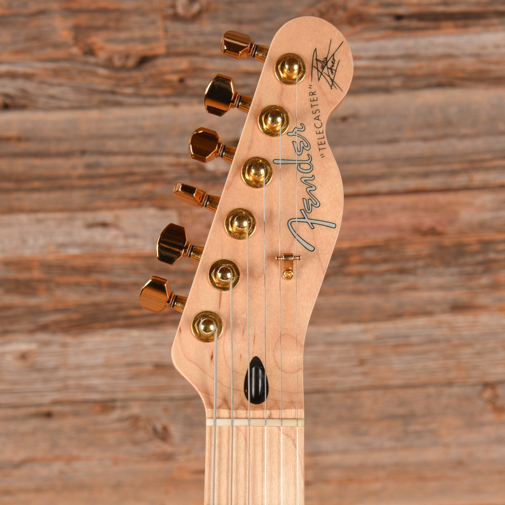 Fender Artist Richie Kotzen Telecaster Brown Sunburst 2016