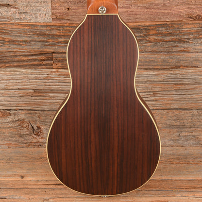 Washburn Rover Travel Acoustic Natural