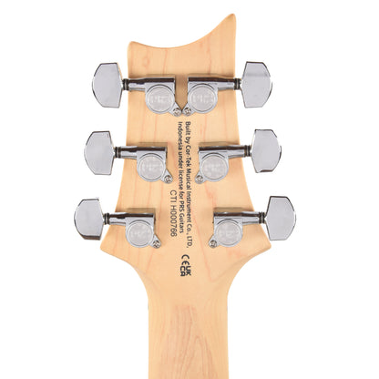 PRS SE Swamp Ash Special Iri Blue