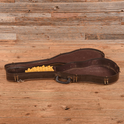 Guild M-65 3/4 Sunburst 1965