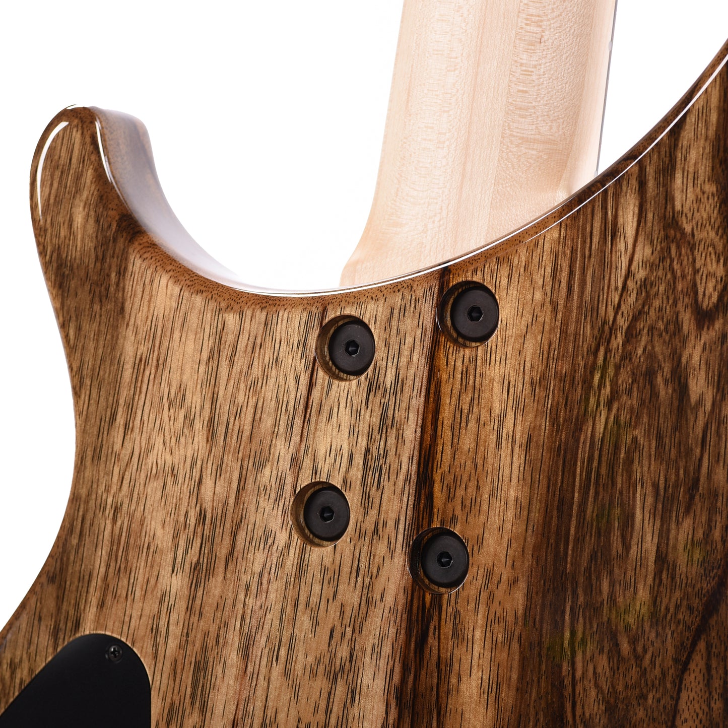 Dingwall Custom Afterburner I 5-String Buckeye Burl/Black Limba Natural w/Darkglass Preamp