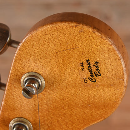 Fender Dale Wilson Stratocaster Black