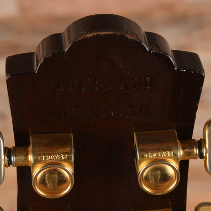 Guild 25th Anniversary D25 NT Natural