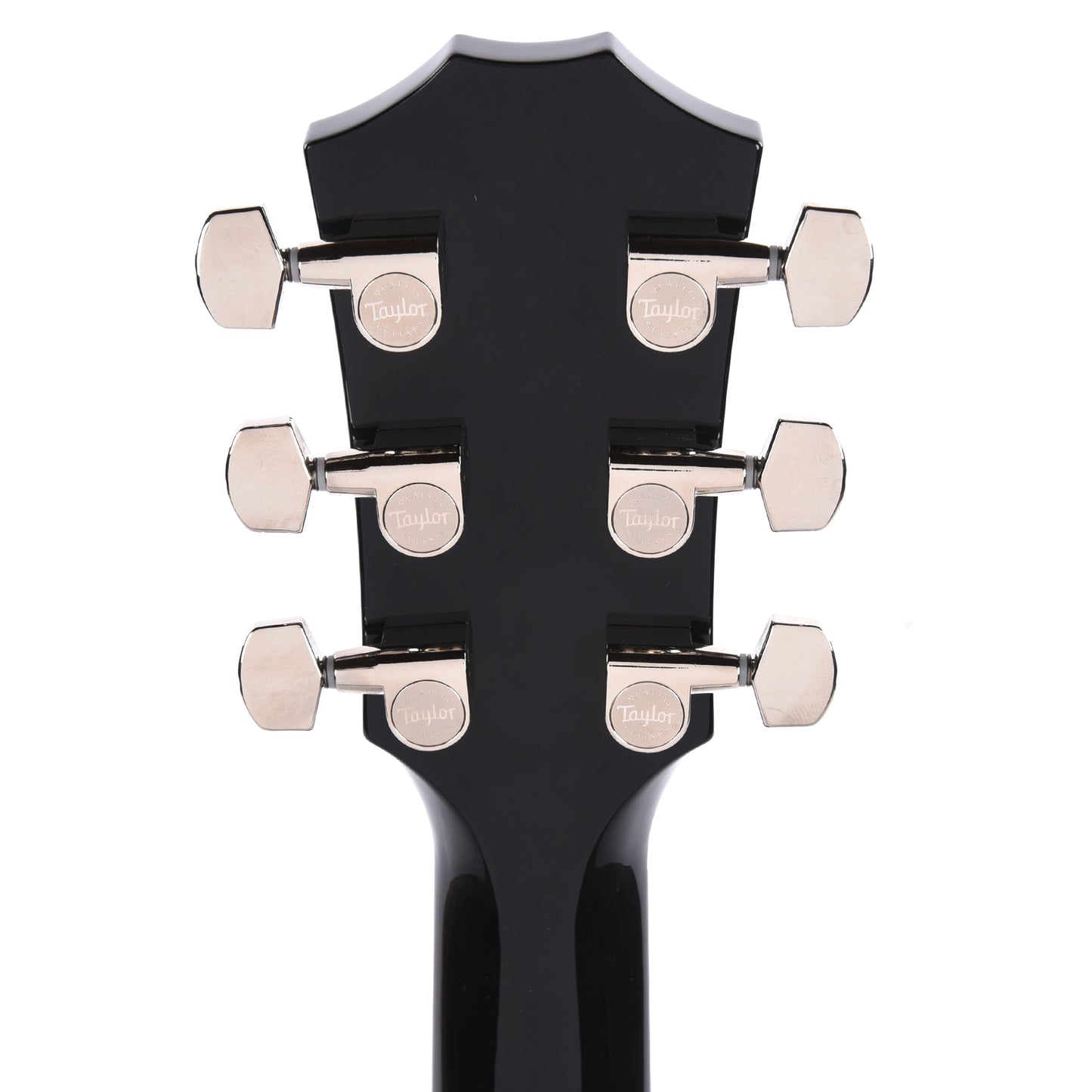 Taylor T5z Pro Figured Big Leaf Maple Harbor Blue