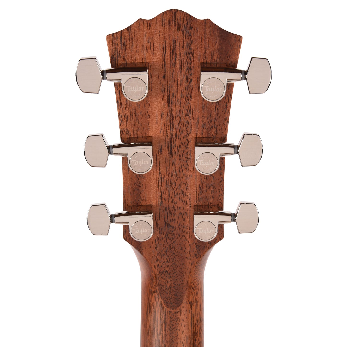 Taylor Gold Label 514e Super Auditorium Torrefied Spruce/Mahogany Natural w/L.R. Baggs VTC