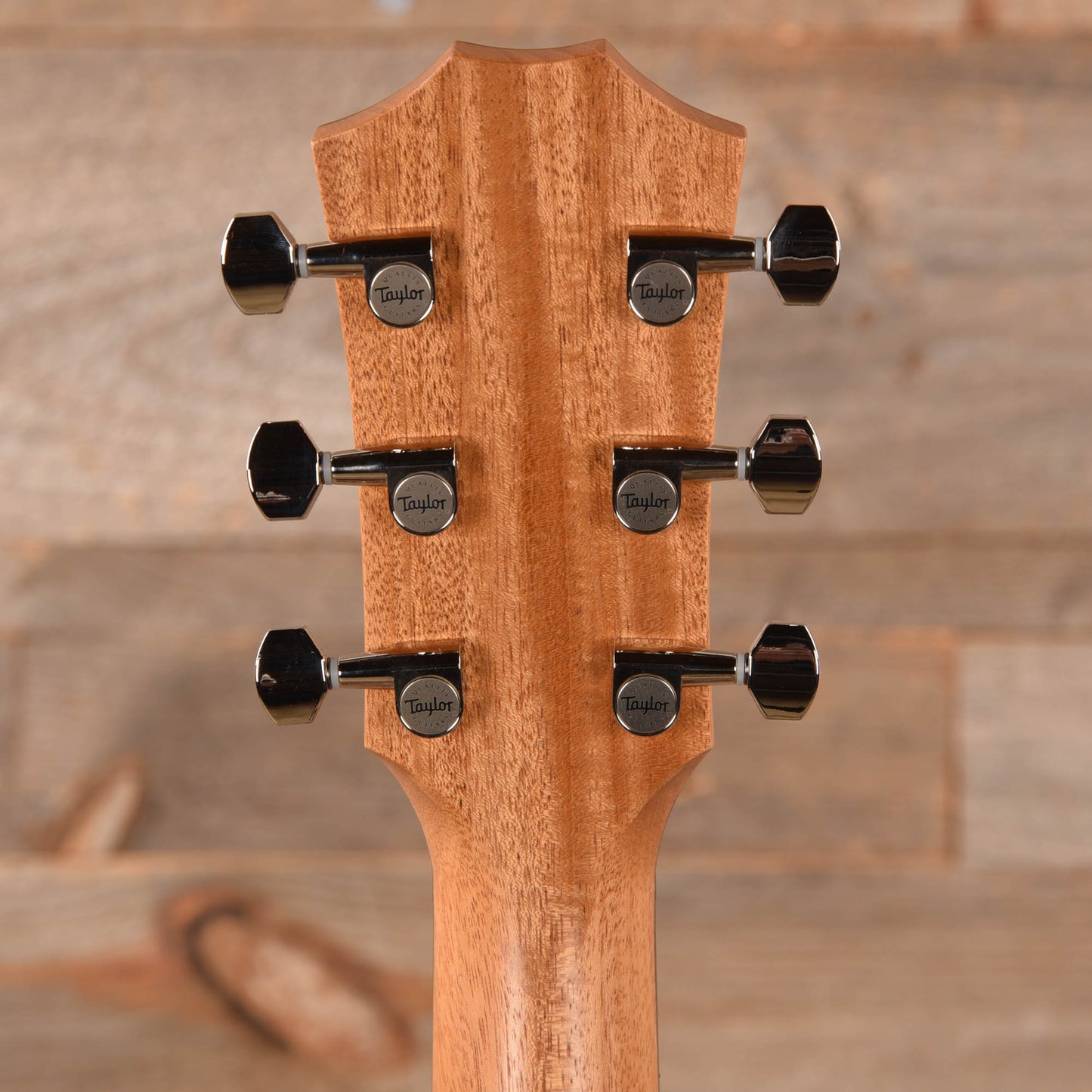 Taylor GT Sitka/Urban Ash