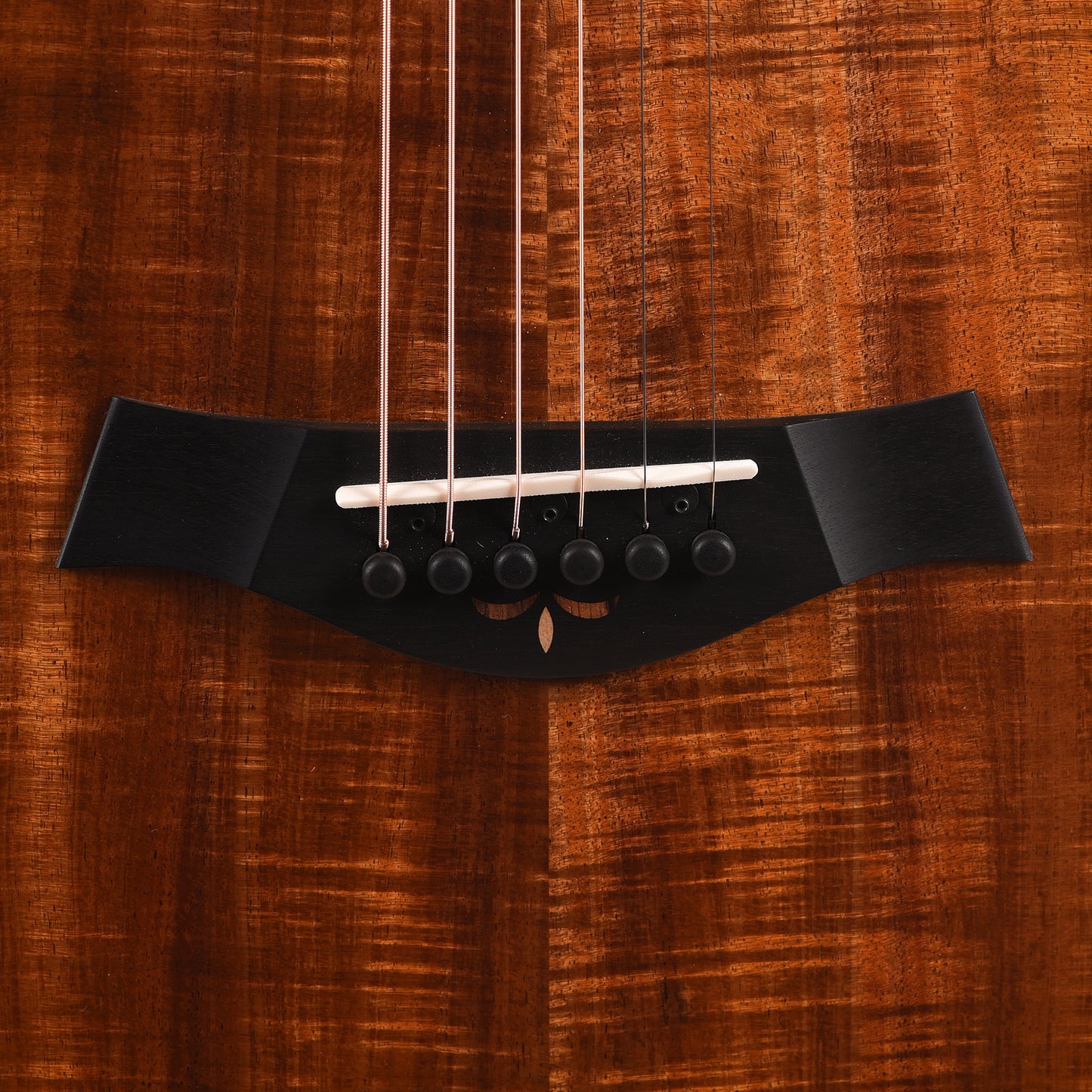 Taylor Custom Grand Concert 12-Fret Tasmanian Blackwood Antique Blonde w/Engraved Twist & Ocean Vine Inlays