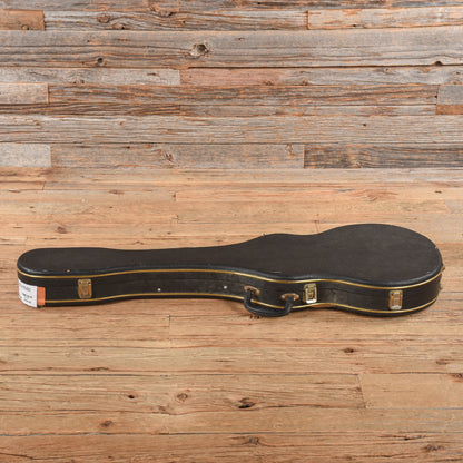 Epiphone Genesis Wine Red 1980s