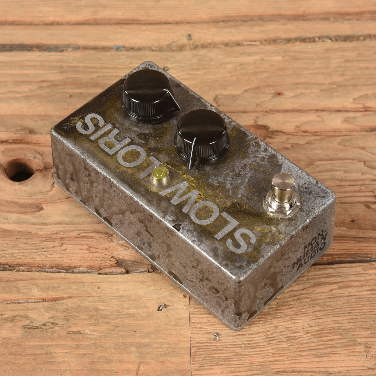 Non-Human Audio Slow Loris