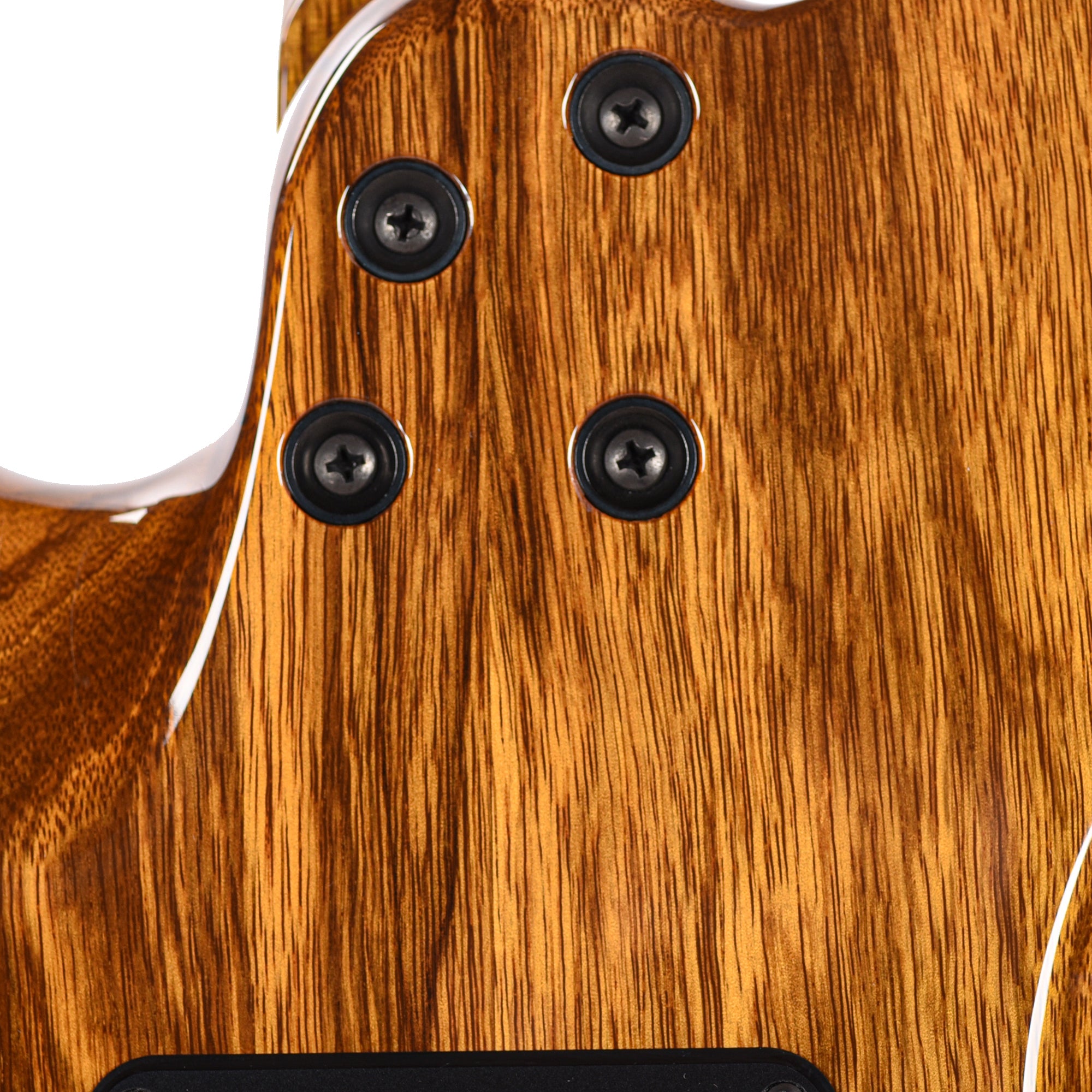 Suhr Custom Modern T Vintage Natural w/CME-Selected Figured Walnut Top