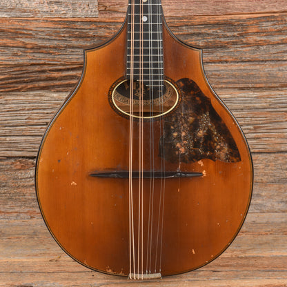 Vega Cylinderback Mandolin Natural 1913