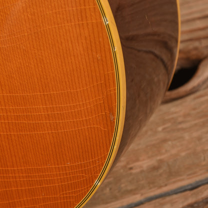 Guild 25th Anniversary D25 NT Natural