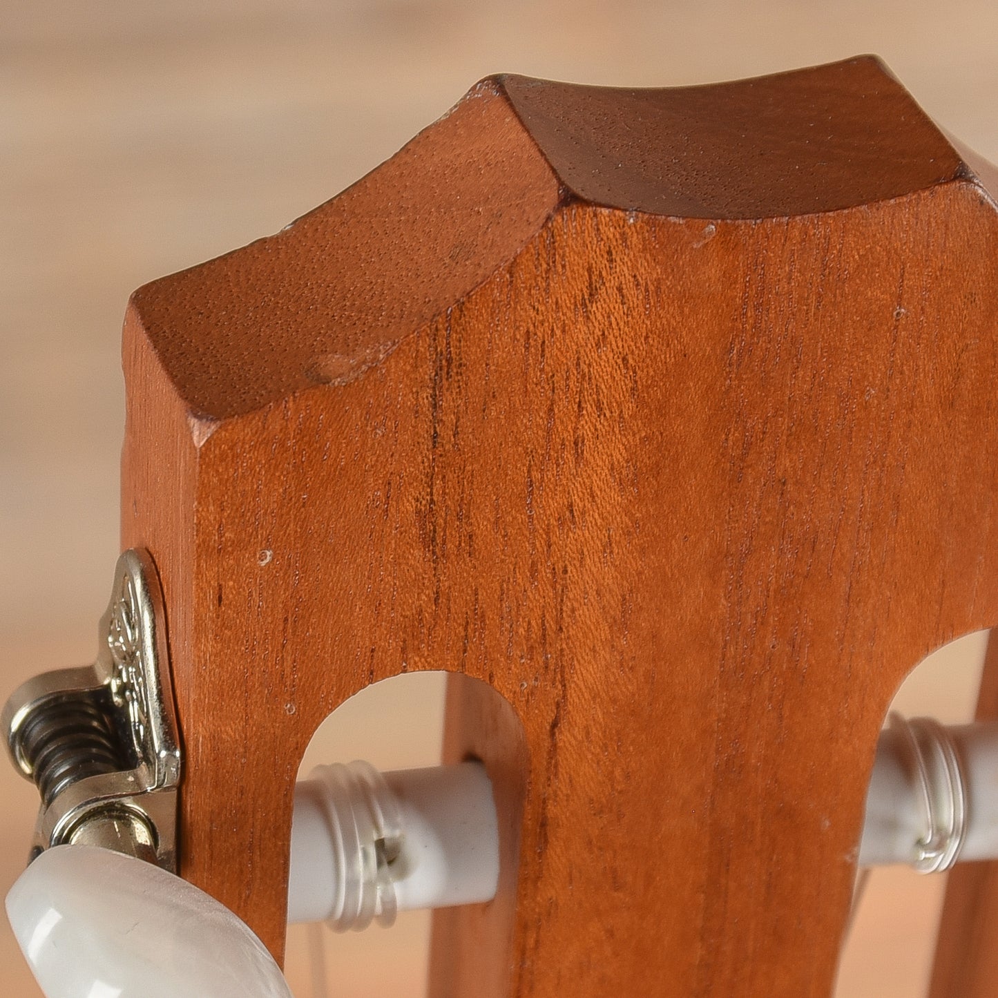 Taylor Academy 12e-N Natural 2020