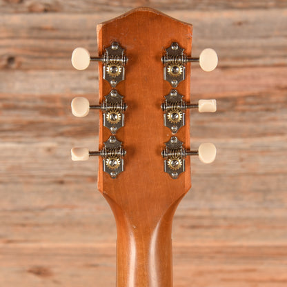 Harmony H-165 X-Brace Conversion Brown 1960s