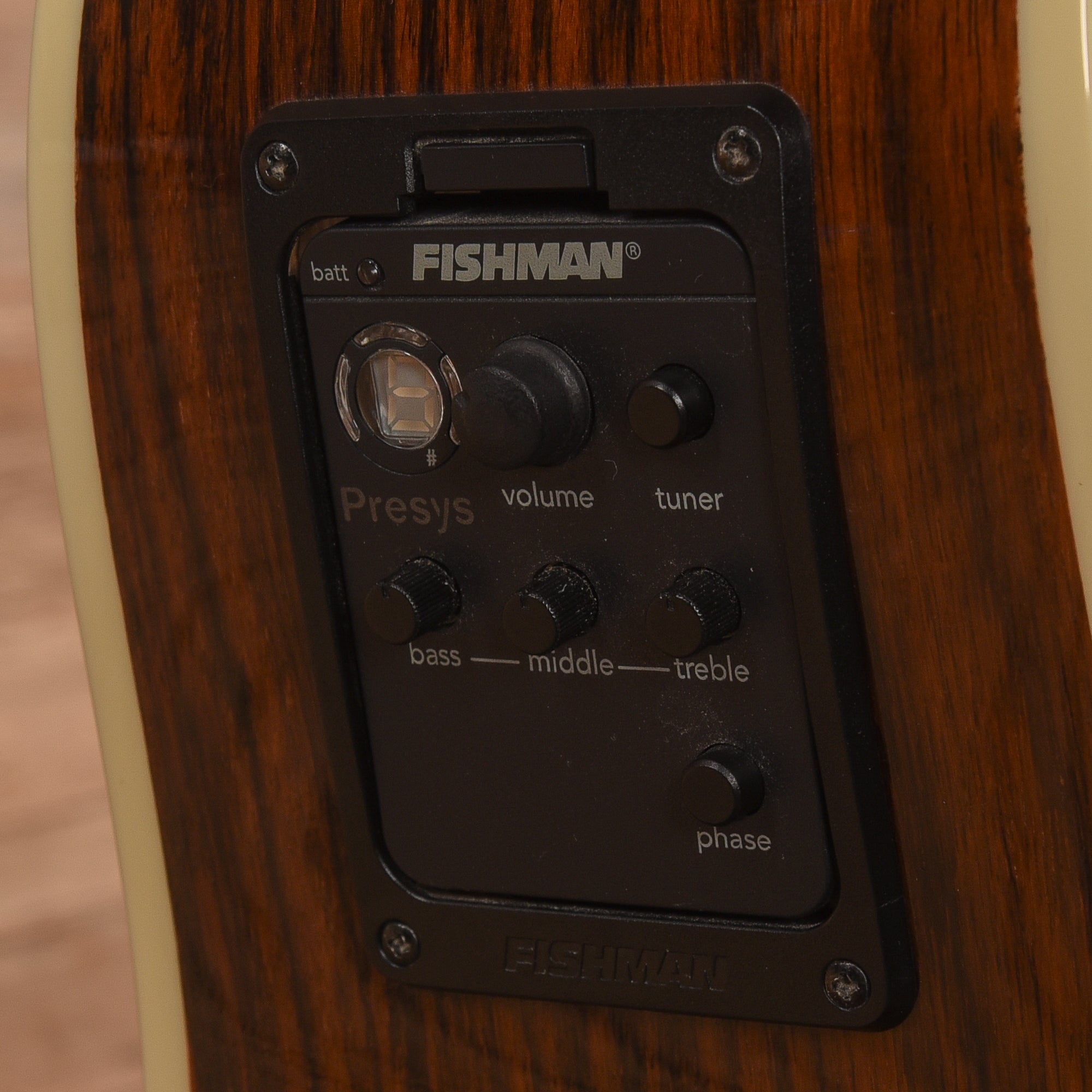 Fender DG200SCE Natural