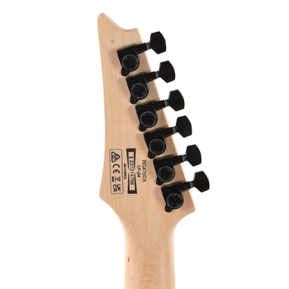 Ibanez RG470DXSFM Standard 6-String Electric Guitar Sea Foam Green Matte