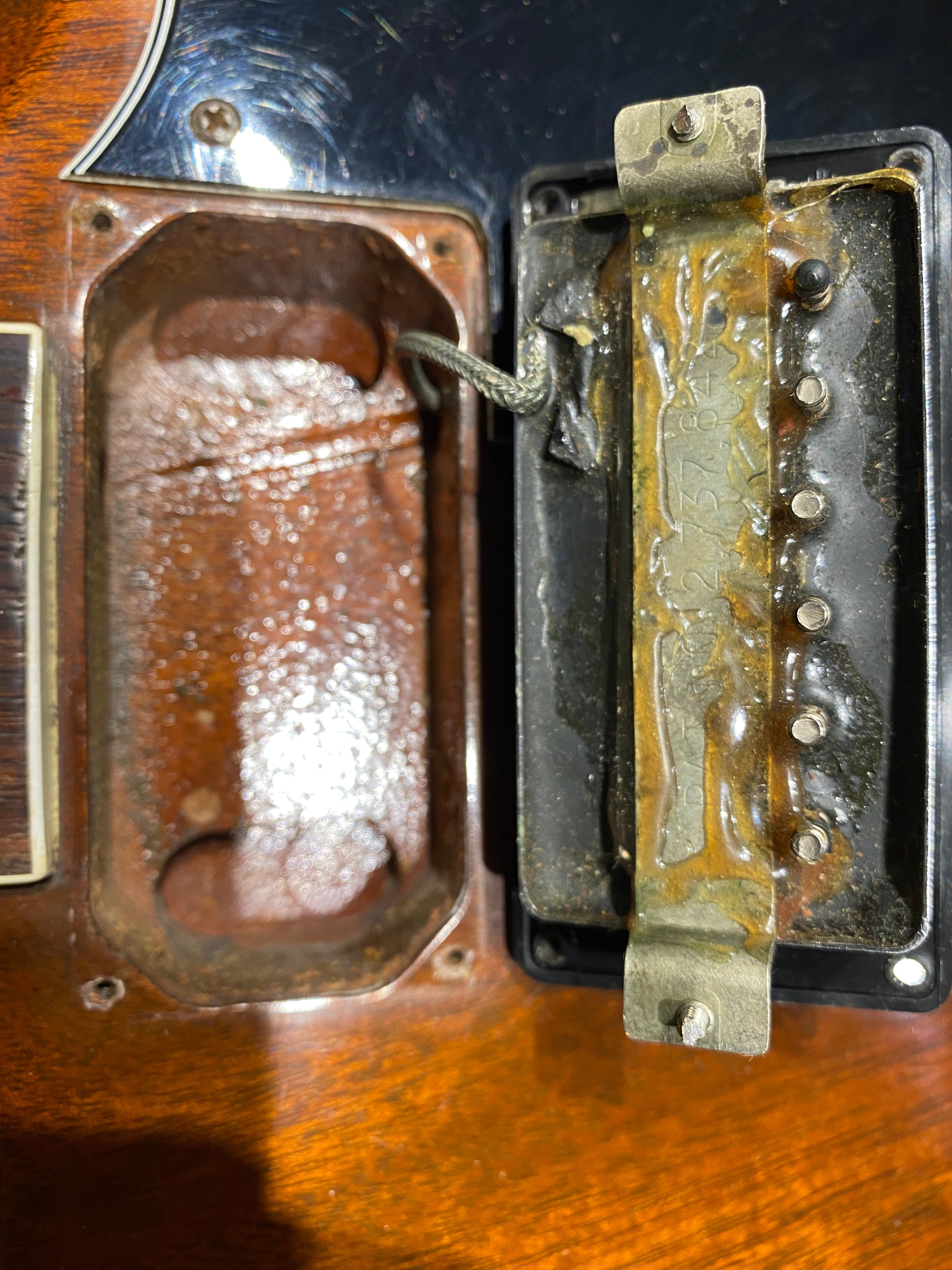 Gibson SG Standard Walnut 1976